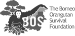 bos